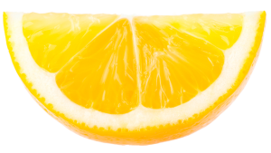 fruit-lemon-slice